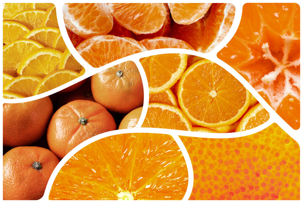 colorful-collage-fruits-texture-close-up